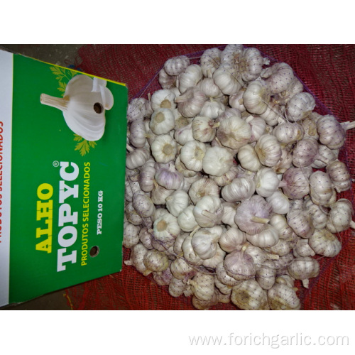 Fresh High Quality Normal White Garlic